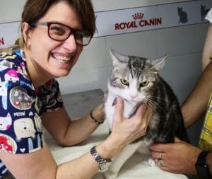 Higiene y salud dental